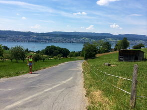 九游体育官方网站-“缆绳滑水：东桃花岛赛场呈现全新水上运动魅力”